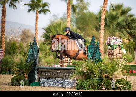 Un pilote équestre participe à la Hunter Division pendant le circuit d'hiver 2023 au Desert International Horse Park en Californie, aux États-Unis. Banque D'Images