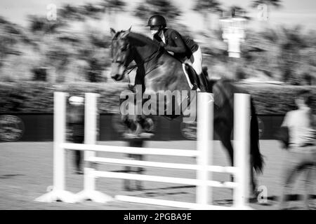 Un pilote équestre participe à la Hunter Division pendant le circuit d'hiver 2023 au Desert International Horse Park en Californie, aux États-Unis. Banque D'Images