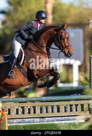 Un pilote équestre participe à la Hunter Division pendant le circuit d'hiver 2023 au Desert International Horse Park en Californie, aux États-Unis. Banque D'Images