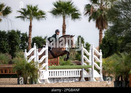 Un pilote équestre participe à la Hunter Division pendant le circuit d'hiver 2023 au Desert International Horse Park en Californie, aux États-Unis. Banque D'Images