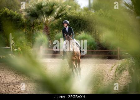 Un pilote équestre participe à la Hunter Division pendant le circuit d'hiver 2023 au Desert International Horse Park en Californie, aux États-Unis. Banque D'Images