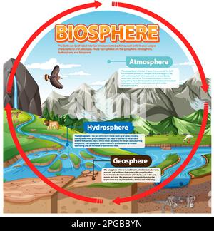 Infographie sur l'écologie de la biosphère pour l'illustration de l'apprentissage Illustration de Vecteur