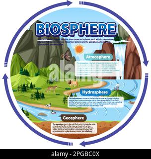 Infographie sur l'écologie de la biosphère pour l'illustration de l'apprentissage Illustration de Vecteur