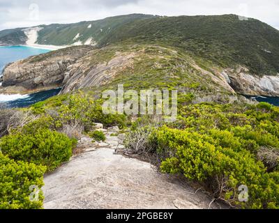 Flinders Peninsula depuis la route de Bald Head, parc national de Torndirrup, Albany, Australie occidentale Banque D'Images