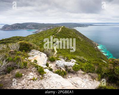 Route à pied de Bald Head au-dessus de l'océan Austral (l) et du King George Sound (r), parc national de Torndirrup, Albany, Australie occidentale, Australie Banque D'Images