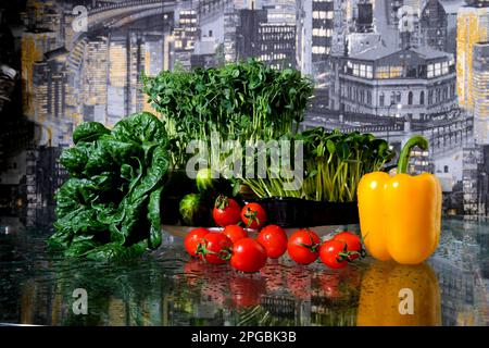 Croissance des microverts en intérieur. Les mains des femmes coupent des petits pois verts avec des ciseaux contre la verdure. Jardinage à la maison. Concept de saine alimentation, alimentation végétalienne, nutrition organique, vitamines de régime. Banque D'Images