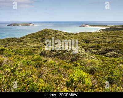 Hamelin Island et White Cliff point, Foul Bay, parc national Leeuwin-Naturaliste, Australie occidentale Banque D'Images