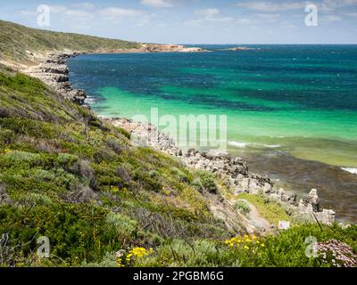 Blowholes de calcaire et Elephant Rock (au loin) Cosy Corner Beach, Cape to Cape Track, parc national de Leeuwin-Naturaliste, Australie occidentale Banque D'Images