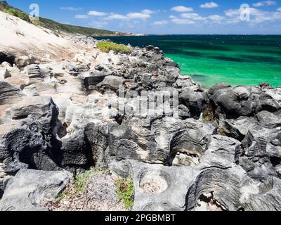 Des trous de calcaire avec Elephant Rock au loin, Cosy Corner, Cape to Cape Track, parc national de Leeuwin-Naturaliste, Australie occidentale Banque D'Images