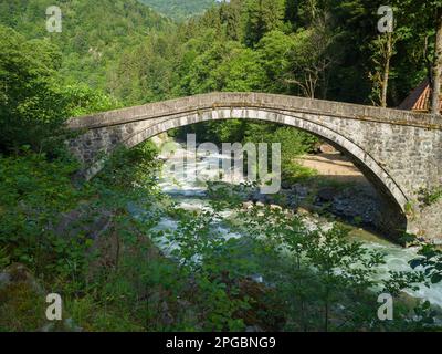 Les ponts de pierre historiques de la Turquie. Pont en pierre de Kavak. Camlihemsin, Rize, Turquie Banque D'Images