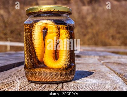 Boisson alcoolisée, teinture à l'aide d'un serpent. Banque D'Images