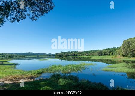 Vue panoramique sur le lac Tinaroo, une attraction touristique pittoresque populaire, Atherton Tablelands, Far North Queensland, FNQ, QLD, Australie Banque D'Images