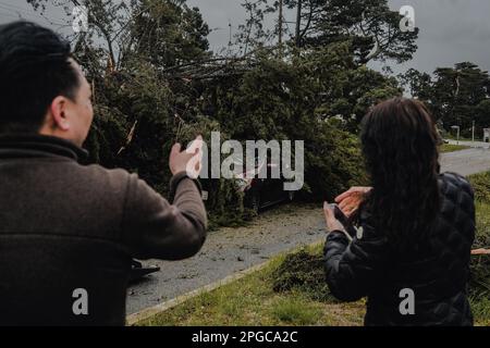 Les séquelles d'une tempête qui a frappé San Francisco, avec un groupe de personnes rassemblées autour d'un arbre tombé qui a écrasé une voiture sur la route. Certains d'entre eux prennent des photos de la scène avec leur téléphone, tandis que d'autres regardent dans le choc et l'incrédulité. Une puissante tempête a récemment frappé la région de la baie, causant le chaos et la destruction à San Francisco. Les conditions météorologiques extrêmes ont conduit à l'effondrement de nombreux arbres, qui ont finalement frappé les voitures et créé des situations dangereuses dans les rues. Alors que la tempête faisait rage, les habitants de la ville ont eu des moments difficiles sous la pluie implacable. Les vents forts et lui Banque D'Images