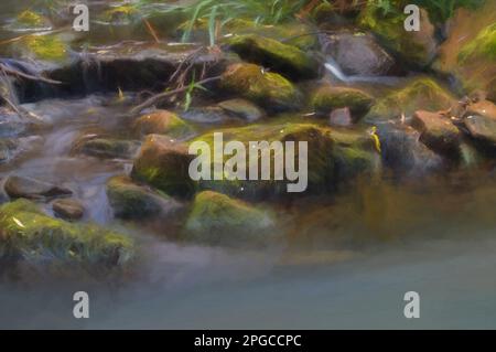 La peinture numérique de l'eau de semis a tourné blanc laiteux par une longue exposition car elle coule autour des roches couvertes de mousse verte et brune. Banque D'Images