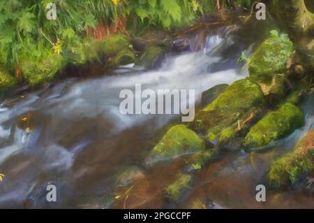 La peinture numérique de l'eau de semis a tourné blanc laiteux par une longue exposition car elle coule autour des roches couvertes de mousse verte et brune. Banque D'Images