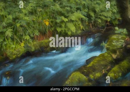 La peinture numérique de l'eau de semis a tourné blanc laiteux par une longue exposition car elle coule autour des roches couvertes de mousse verte et brune. Banque D'Images