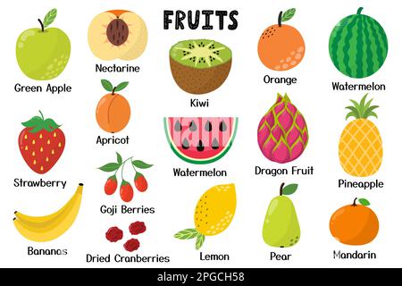 Collection de fruits mignons. Aliments sains éléments isolés. Parfait pour les recettes, le livre de cuisine Illustration de Vecteur