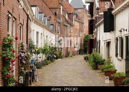 Rue étroite avec des pots de fleurs dans le vieux centre médiéval de la ville historique hollandaise de taille moyenne d'Amersfoort. Banque D'Images