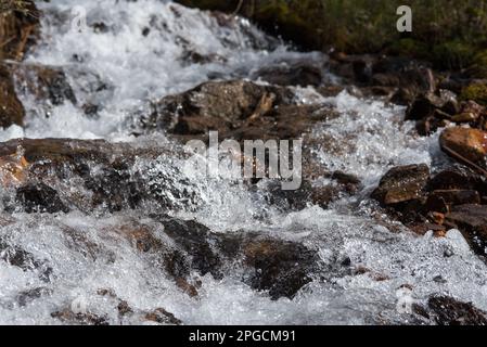 la bellezza e la particularité della natura à montagna, gli elementi naturali. Banque D'Images