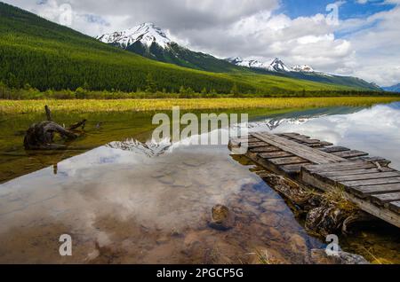 Vue panoramique sur une petite jetée en bois sur un lac d'eau cristalline à côté de champs de couleur jaune et verte naturelle avec toile de fond de montagnes Rocheuses enneigées Banque D'Images