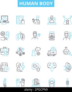 Jeu d'icônes de lignes vectorielles du corps humain. Anatomie, physiologie, squelette, organe, muscle, Cellule, illustration du thorax, contour des symboles et des signes de concept Illustration de Vecteur