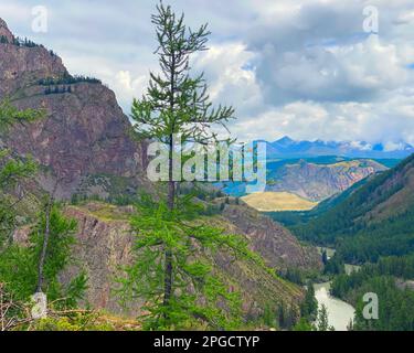 L'épicéa solitaire sur la toile de fond d'un panorama de montagnes sous les nuages avec la rivière Chuya sous une falaise en pierre dans l'Altaï en Sibérie. Banque D'Images