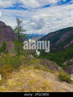 Une épicéa solitaire sur la toile de fond d'un panorama de montagnes sous les nuages avec la rivière Chuya sous une falaise en pierre à Altai en Sibérie sur une bri Banque D'Images