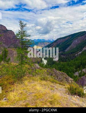 L'épicéa solitaire sur la toile de fond d'un panorama de montagne sous les nuages avec la rivière Chuya sous une falaise de pierre dans l'Altai en Sibérie en automne. Banque D'Images