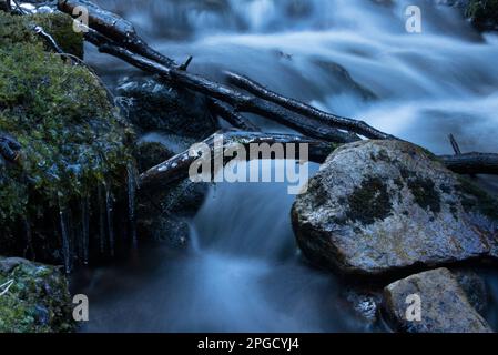 un corso d'acqua à un bosco di montagna Banque D'Images