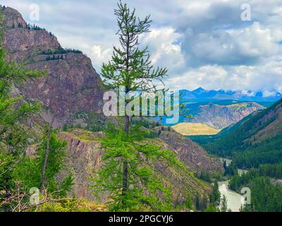 Une épicéa solitaire sur la toile de fond d'un panorama de montagnes sous les nuages avec la rivière Chuya sous une falaise en pierre dans Altai en Sibérie pendant t Banque D'Images