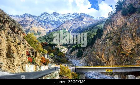 Saison printanière dans le parc national de la montagne de 'Nanda Devi' (Uttarakhand) Banque D'Images