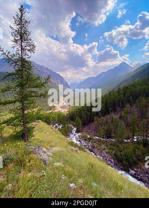 L'épicéa solitaire sur la toile de fond d'un panorama de montagnes sous les nuages de la rivière Chuya vallée dans l'Altaï en Sibérie pendant la journée dans un Banque D'Images