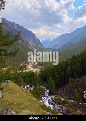 Une épicéa solitaire sur la toile de fond d'un panorama de montagnes avec des glaciers sous les nuages de la rivière Chuya dans une vallée de l'Altai en Sibérie du Banque D'Images