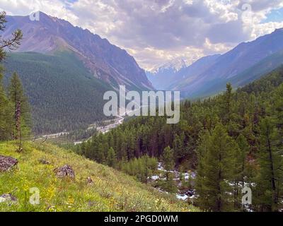 L'épicéa solitaire sur la toile de fond d'un panorama de montagnes avec des glaciers sous les nuages avec la confluence des rivières Karakabak et Mazhoy dedans Banque D'Images