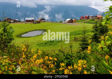 Plateau de Badara à Rize, Turquie. Ce plateau est situé dans le district de Camlihemsin dans la province de Rize. Région des montagnes de Kackar. Banque D'Images