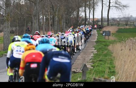 De panne, Belgique. 22nd mars 2023. Le pack de cavaliers photographiés en action lors de la course d'élite masculine de la course cycliste d'une journée 'Classic Brugge-de panne', 207,4km de Brugge à de panne, mercredi 22 mars 2023. BELGA PHOTO DIRK WAEM crédit: Belga News Agency/Alay Live News Banque D'Images