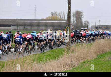 De panne, Belgique. 22nd mars 2023. Le pack de cavaliers photographiés en action lors de la course d'élite masculine de la course cycliste d'une journée 'Classic Brugge-de panne', 207,4km de Brugge à de panne, mercredi 22 mars 2023. BELGA PHOTO DIRK WAEM crédit: Belga News Agency/Alay Live News Banque D'Images