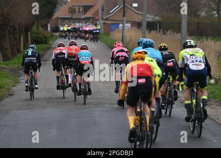 De panne, Belgique. 22nd mars 2023. Le pack de cavaliers photographiés en action lors de la course d'élite masculine de la course cycliste d'une journée 'Classic Brugge-de panne', 207,4km de Brugge à de panne, mercredi 22 mars 2023. BELGA PHOTO DIRK WAEM crédit: Belga News Agency/Alay Live News Banque D'Images