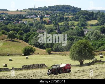 Récolte du foin, Glossop. Derbyshire, Peak District, Angleterre, Royaume-Uni Banque D'Images