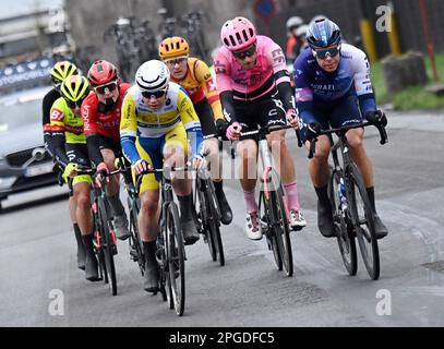 De panne, Belgique. 22nd mars 2023. Le pack des meilleurs pilotes photographiés lors de la course d'élite masculine de la course cycliste d'une journée 'Classic Brugge-de panne', 207,4km de Brugge à de panne, mercredi 22 mars 2023. BELGA PHOTO DIRK WAEM crédit: Belga News Agency/Alay Live News Banque D'Images