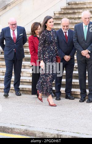 Madrid, Madrid, Espagne. 22nd mars 2023. La reine Letizia d'Espagne assiste à l'exposition de Nebrija (1444-1522). La fierté d'être un grammarian 'Grammaticus nomen est Professis', dans le cadre des activités qui ont lieu pour le centenaire 5th de la mort d'Elio Antonio de Nebrija à la Bibliothèque nationale sur 22 mars 2023 à Madrid, Espagne (Credit image: © Jack Abuin/ZUMA Press Wire) USAGE ÉDITORIAL SEULEMENT! Non destiné À un usage commercial ! Banque D'Images