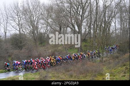 De panne, Belgique. 22nd mars 2023. Le pack de cavaliers photographiés en action lors de la course d'élite masculine de la course cycliste d'une journée 'Classic Brugge-de panne', 207,4km de Brugge à de panne, mercredi 22 mars 2023. BELGA PHOTO DIRK WAEM crédit: Belga News Agency/Alay Live News Banque D'Images