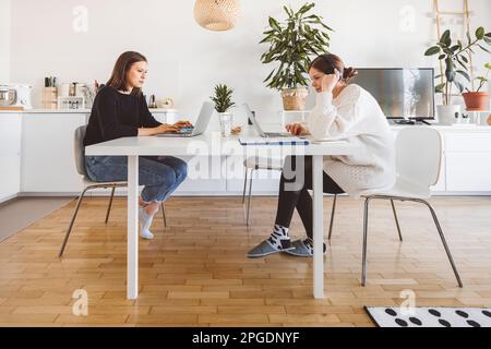 Deux femmes colocataires étudiant près de la table de cuisine sur leur ordinateur portable dans un appartement moderne blanc lumineux Banque D'Images