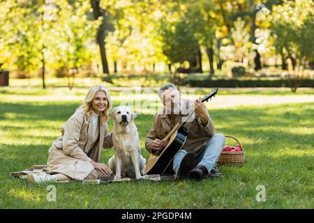 homme d'âge moyen barbu jouant de la guitare acoustique près d'une femme insouciante et d'un chien de labrador pendant un pique-nique dans le parc, image de stock Banque D'Images