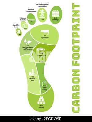 Infographie sur l'empreinte carbone. CO2 Schéma d'empreinte écologique. Émissions de gaz à effet de serre par secteur. Concept de l'environnement et du changement climatique. Données réelles Illustration de Vecteur