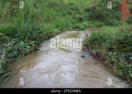 Une crique tranquille serpente à travers un paysage luxuriant de flanc de colline, avec une abondance de feuillage vert vif Banque D'Images