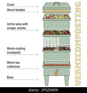 Infographie sur le vermicomposter. Composants de vermicomposter. Conception schématique de Vermicomposter. Compostage de vers. Recyclage des déchets organiques, engrais ou Illustration de Vecteur