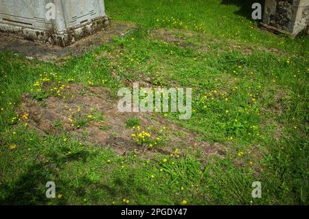 Norman graves à St. Église de Nicholas, Little Braxted, Essex. Une petite église composée d'une nef normande et d'un chœur éperlé construit autour de 1120 après J.-C. Banque D'Images