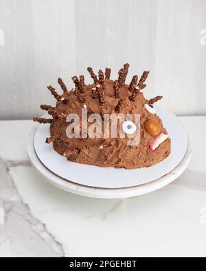 Gâteau drôle et laid de hérisson pour l'anniversaire des enfants fait de chocolat et de bonbons Banque D'Images