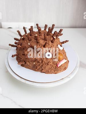 Gâteau drôle et laid de hérisson pour l'anniversaire des enfants fait de chocolat et de bonbons Banque D'Images